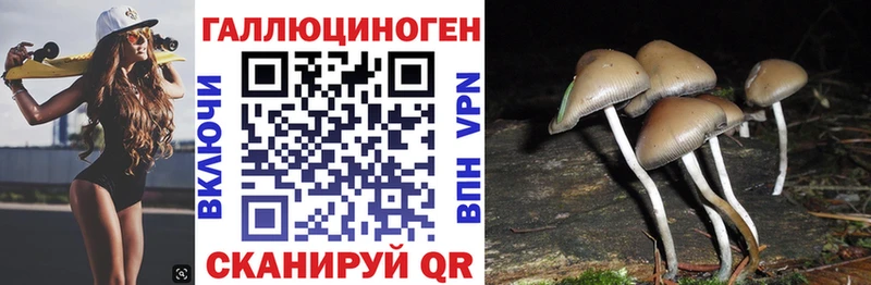 Галлюциногенные грибы MAGIC MUSHROOMS  Приволжск 